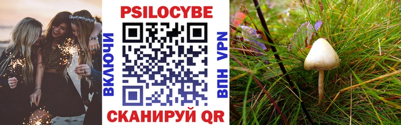 Купить закладки  Будённовск  Псилоцибиновые грибы MAGIC MUSHROOMS 